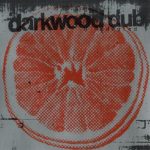 Darkwood Dub – U Nedogled