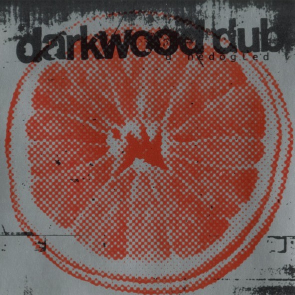Darkwood Dub – U Nedogled