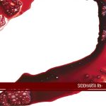 Siddharta – Rh-