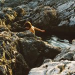 Manja Ristić – Sargassum aeterna