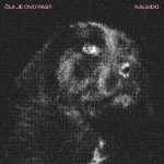 kaleido – Čiji je ovo pas?