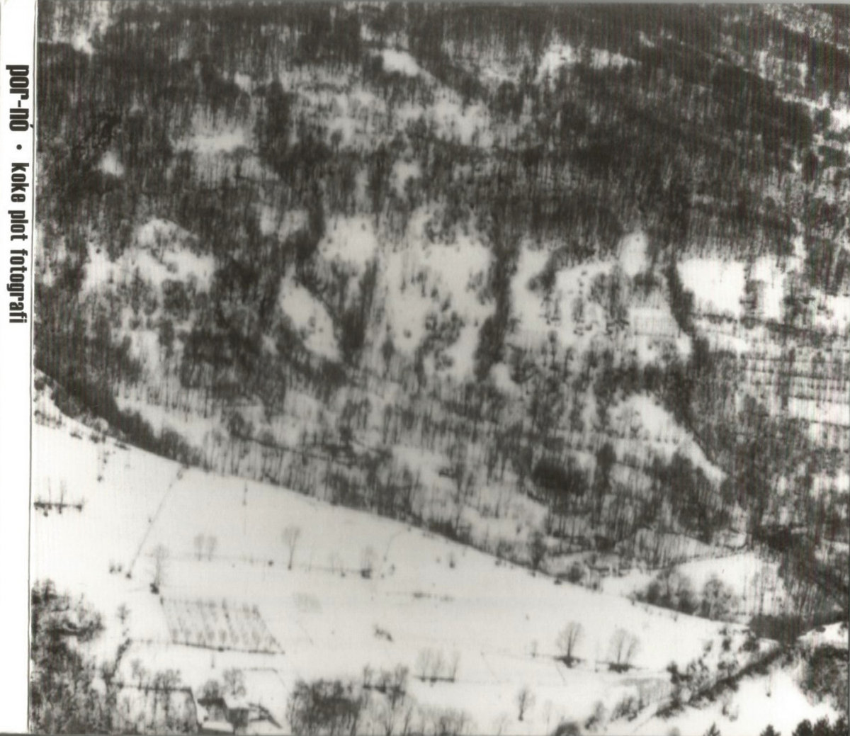 por-nó – Kokë plot fotografi
